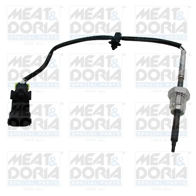 Sensor, exhaust gas temperature